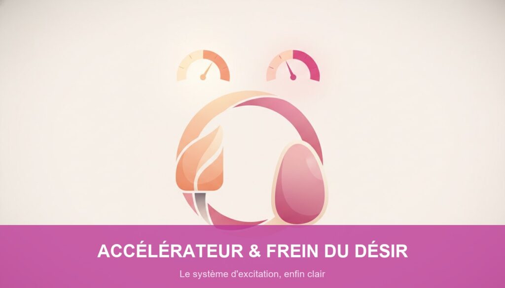 Système d&rsquo;excitation : accélérateur et frein du désir, le guide Nagoski